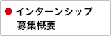 インターンシップ 　 募集概要